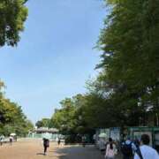 ヒメ日記 2026/06/16 08:57 投稿 ももこ 渋谷おかあさん