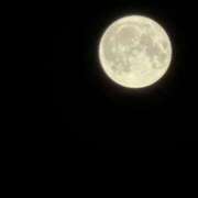 ヒメ日記 2026/06/01 23:48 投稿 赤坂かのん ウルトラロイヤル