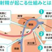 ヒメ日記 2026/07/02 01:43 投稿 七海 渋谷おかあさん