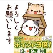 ヒメ日記 2026/05/18 08:28 投稿 椿 渋谷おかあさん