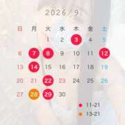 月花（げっか） 🌙* :ﾟ9月の予定🌙* :ﾟ EXE（エグゼ）