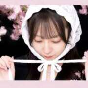 なぎ☆ 笘ゑｸ条汳ｧ窶ｬ 粋美　suibi