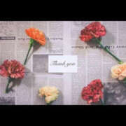 ヒメ日記 2026/04/28 16:49 投稿 るり 素人妻御奉仕倶楽部Hip's松戸店