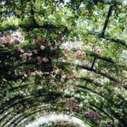 ヒメ日記 2026/04/28 18:40 投稿 るり 素人妻御奉仕倶楽部Hip's松戸店