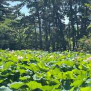 ヒメ日記 2026/07/13 21:32 投稿 みはる 奥様特急三条店