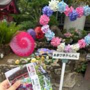 ヒメ日記 2026/07/08 18:36 投稿 あられ ハピネス水戸