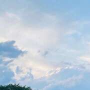 ヒメ日記 2026/09/24 17:04 投稿 なつめ わんだふる