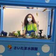 ヒメ日記 2026/08/30 13:02 投稿 ゆかり 大宮おかあさん