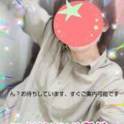 ヒメ日記 2026/09/16 12:31 投稿 かんな 熟女の風俗最終章 相模原店