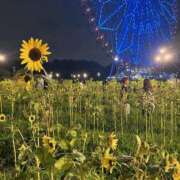 ヒメ日記 2026/08/11 10:03 投稿 あみ 11チャンネル