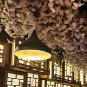 ヒメ日記 2026/05/02 16:35 投稿 りん Lesson.1沖縄校