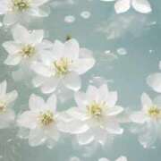ヒメ日記 2026/05/14 15:01 投稿 新人・紫晴(しはる) グランドオペラ福岡