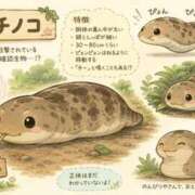 ヒメ日記 2026/07/18 11:27 投稿 あゆ(ふんわり天使貴方は虜) 学園天国