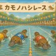 ヒメ日記 2026/07/18 17:27 投稿 あゆ(ふんわり天使貴方は虜) 学園天国