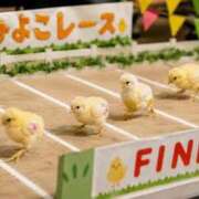 ヒメ日記 2026/08/03 17:32 投稿 あゆ(ふんわり天使貴方は虜) 学園天国
