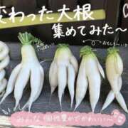 ヒメ日記 2026/08/10 11:31 投稿 あゆ(ふんわり天使貴方は虜) 学園天国