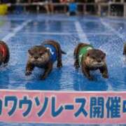 ヒメ日記 2026/08/11 17:33 投稿 あゆ(ふんわり天使貴方は虜) 学園天国