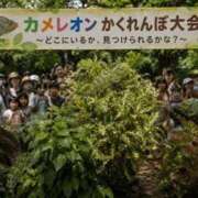 ヒメ日記 2026/08/13 11:32 投稿 あゆ(ふんわり天使貴方は虜) 学園天国