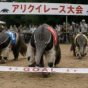 ヒメ日記 2026/08/13 19:42 投稿 あゆ(ふんわり天使貴方は虜) 学園天国