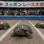 ヒメ日記 2026/08/14 11:34 投稿 あゆ(ふんわり天使貴方は虜) 学園天国