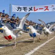 ヒメ日記 2026/08/22 11:26 投稿 あゆ(ふんわり天使貴方は虜) 学園天国