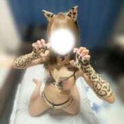 ヒメ日記 2026/06/21 21:19 投稿 ひとみ★超敏感体質の博多美人★ Bell～S級美女お姉様・人妻デリヘル～