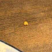 ヒメ日記 2026/07/09 03:42 投稿 のあ PLANET（プラネット）