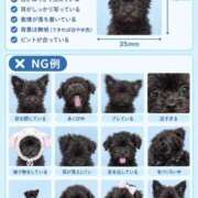 のあ 🐶 PLANET（プラネット）