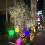 ヒメ日記 2026/06/13 11:30 投稿 こころ PLANET（プラネット）