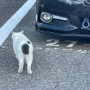 ヒメ日記 2026/10/08 11:45 投稿 もも PLANET（プラネット）
