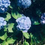 ヒメ日記 2026/06/12 01:59 投稿 あむ PLANET（プラネット）