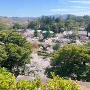 ヒメ日記 2026/06/20 22:39 投稿 あむ PLANET（プラネット）