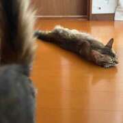 ヒメ日記 2026/09/13 22:02 投稿 あむ PLANET（プラネット）