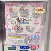 ヒメ日記 2026/05/01 23:43 投稿 りり PLANET（プラネット）
