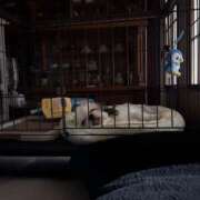 ヒメ日記 2026/08/31 12:01 投稿 りり PLANET（プラネット）