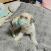 ヒメ日記 2026/09/16 09:02 投稿 りり PLANET（プラネット）