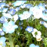 ヒメ日記 2026/05/02 11:46 投稿 みお ジュエルズ