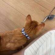 ヒメ日記 2026/07/06 10:07 投稿 ジャスミン ハピネス東京