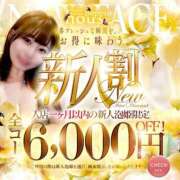 ヒメ日記 2026/05/10 14:40 投稿 りい Beppin house
