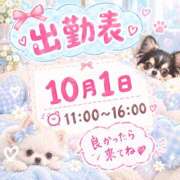 ヒメ日記 2026/09/28 07:31 投稿 つき ラブレター