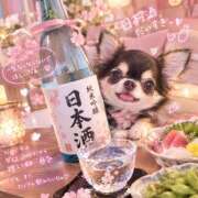ヒメ日記 2026/09/28 18:21 投稿 つき ラブレター