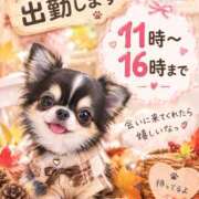 ヒメ日記 2026/10/08 09:27 投稿 つき ラブレター
