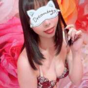 ヒメ日記 2026/05/13 08:02 投稿 ゆうこ JAPAN CLUB BUNNY LOUNGE