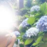 ヒメ日記 2026/07/14 20:15 投稿 ことり バタフライ立川
