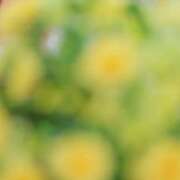 ヒメ日記 2026/06/18 12:10 投稿 えな SPIN(スピン)