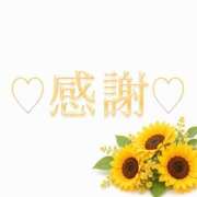檀　文香 8月に逢いに来てくださった皆様へ 五十路マダム　広島店