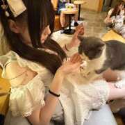 ヒメ日記 2026/06/30 13:14 投稿 暁いちご デリス新宿