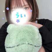 ヒメ日記 2026/05/31 18:13 投稿 うい TOKYO BUNNYS CLUB