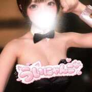 ヒメ日記 2026/09/10 18:23 投稿 うい TOKYO BUNNYS CLUB