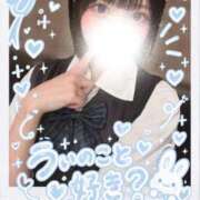 ヒメ日記 2026/09/20 12:23 投稿 うい TOKYO BUNNYS CLUB